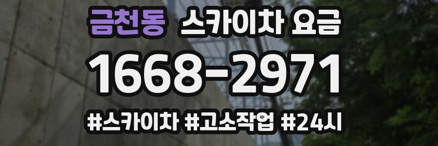 금천동 스카이차 요금