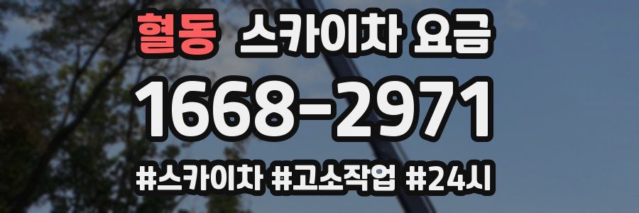 혈동 스카이차 요금