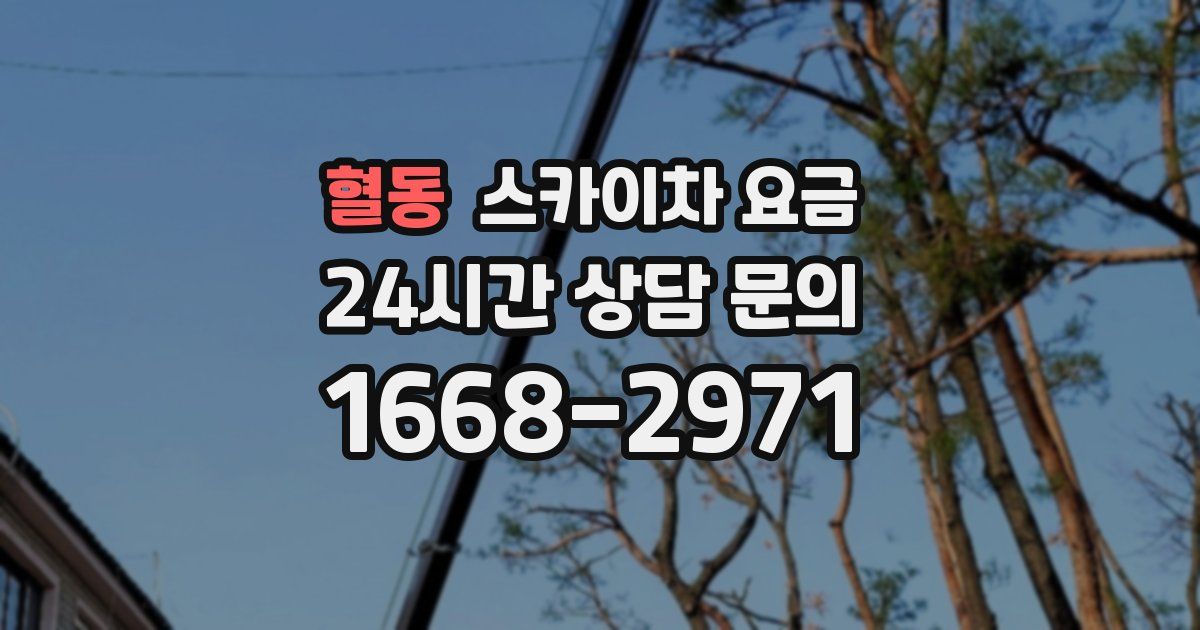 혈동 스카이차 요금