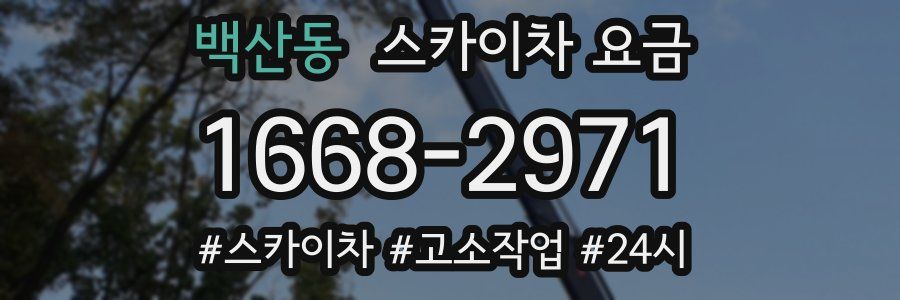 백산동 스카이차 요금