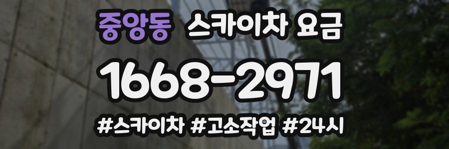 중앙동 스카이차 요금