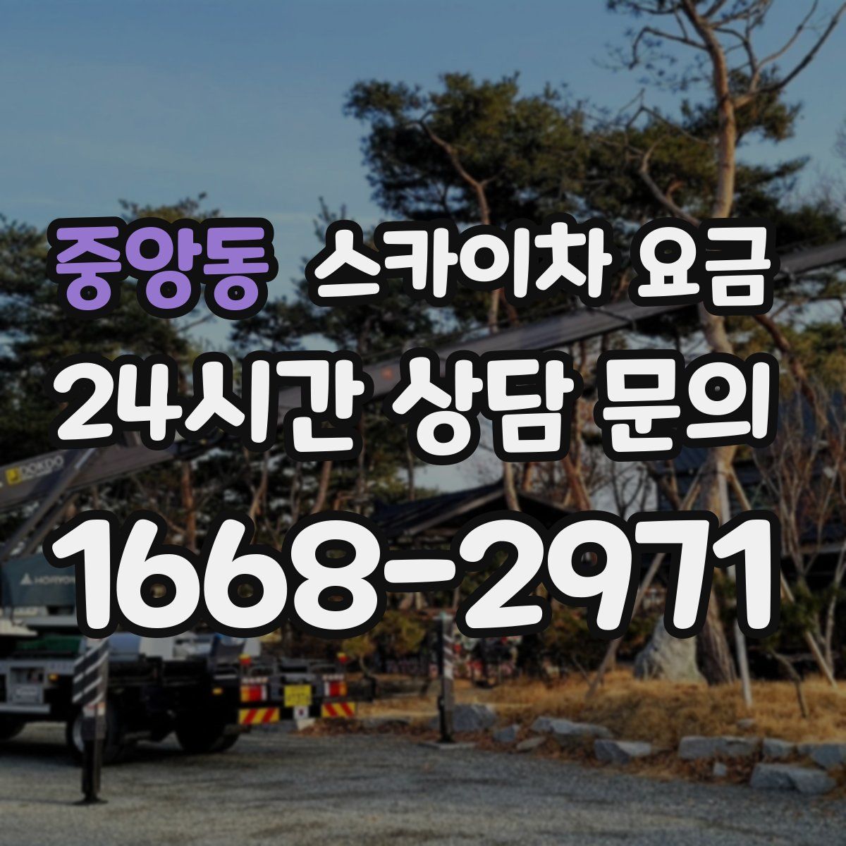 중앙동 스카이차 요금