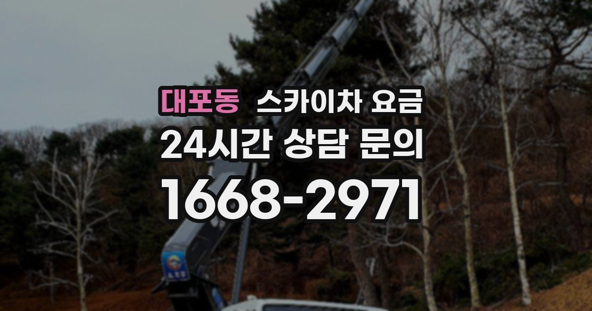 대포동 스카이차 요금