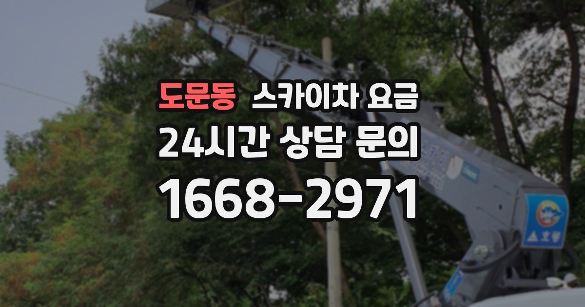도문동 스카이차 요금