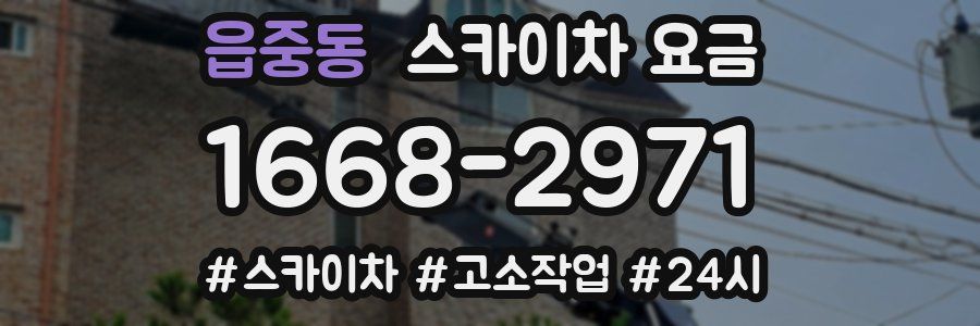 읍중동 스카이차 요금