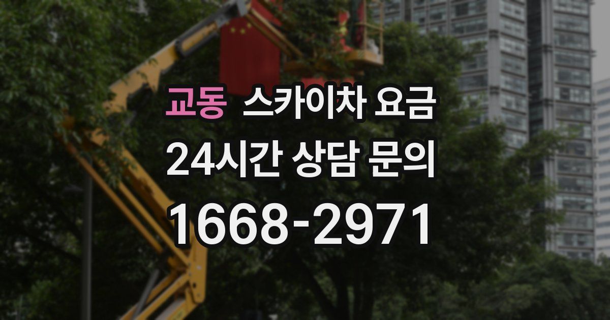 교동 스카이차 요금