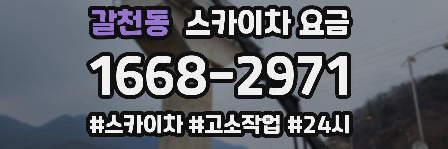 갈천동 스카이차 요금