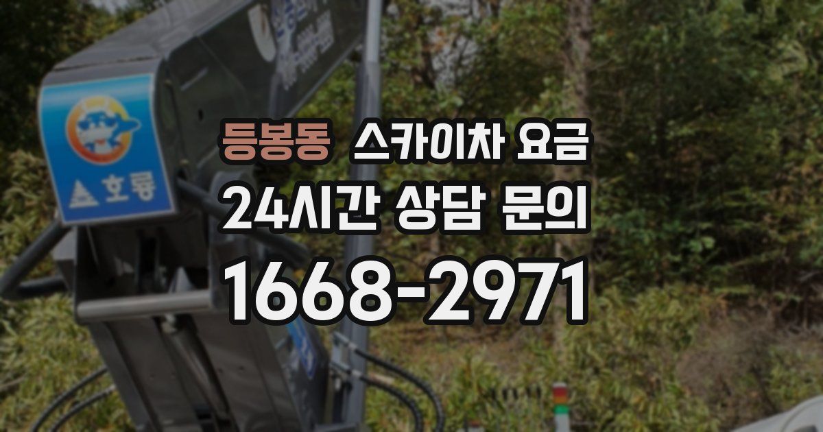 등봉동 스카이차 요금