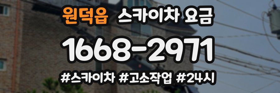 원덕읍 스카이차 요금