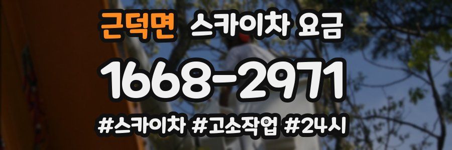 근덕면 스카이차 요금
