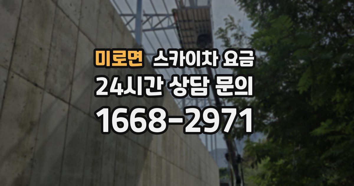 미로면 스카이차 요금