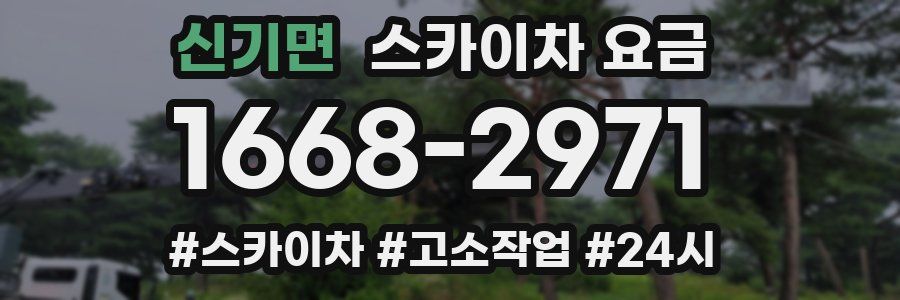 신기면 스카이차 요금