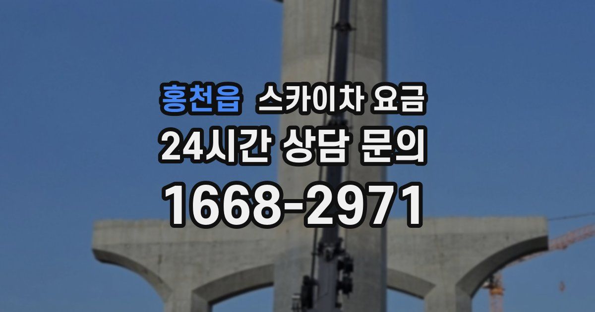 홍천읍 스카이차 요금