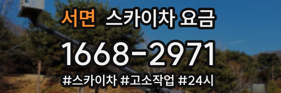 서면 스카이차 요금