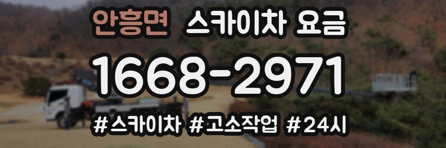 안흥면 스카이차 요금
