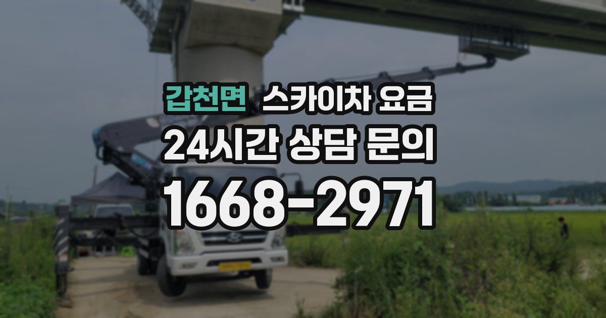 갑천면 스카이차 요금