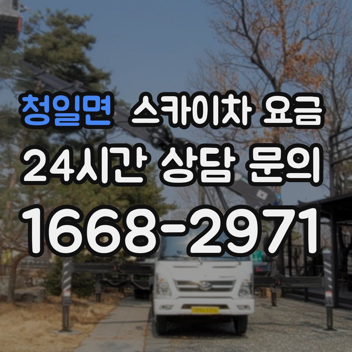 청일면 스카이차 요금