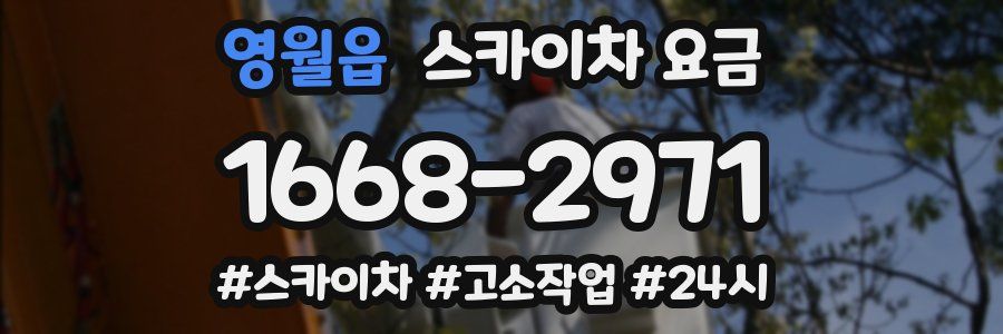 영월읍 스카이차 요금