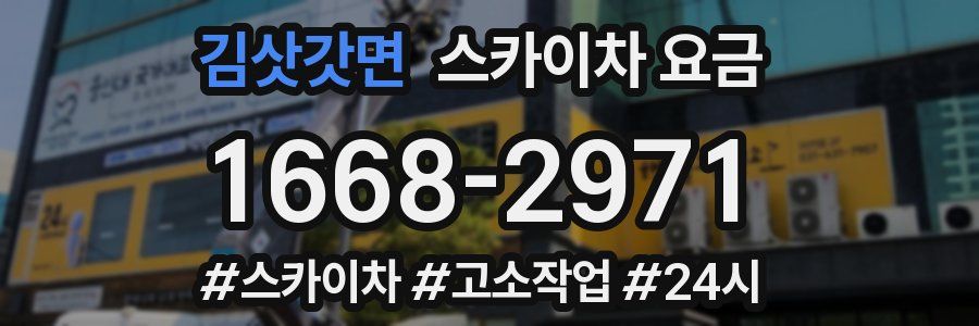 김삿갓면 스카이차 요금