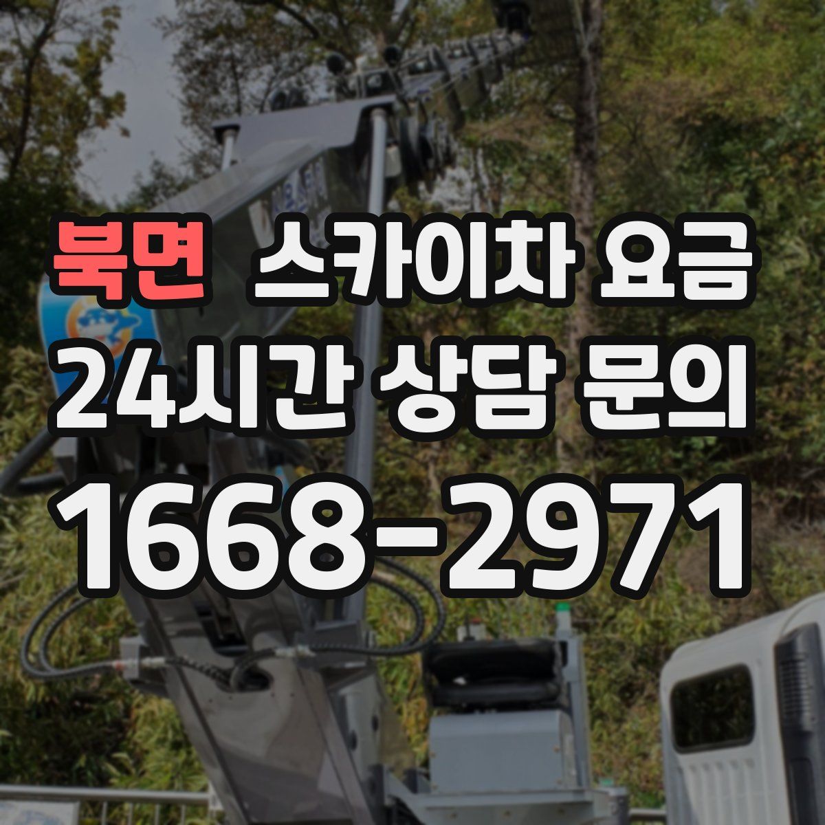 북면 스카이차 요금
