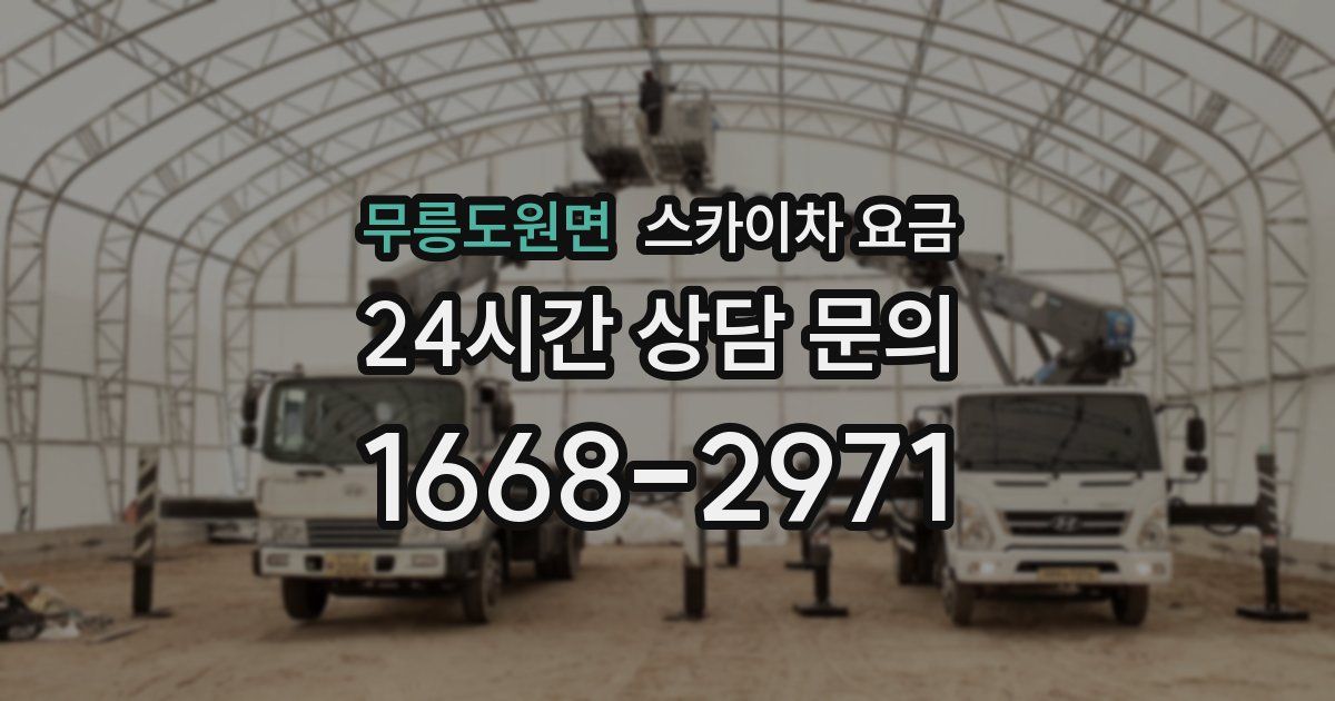 무릉도원면 스카이차 요금