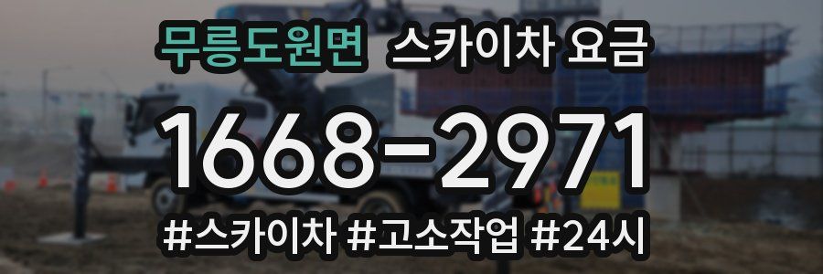무릉도원면 스카이차 요금