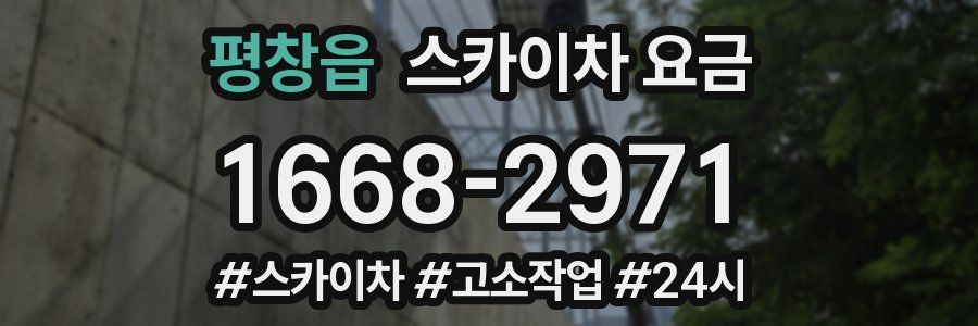 평창읍 스카이차 요금