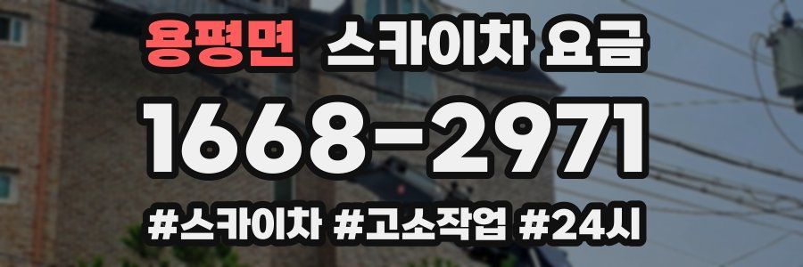 용평면 스카이차 요금