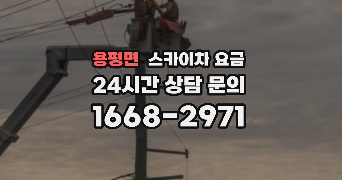 용평면 스카이차 요금