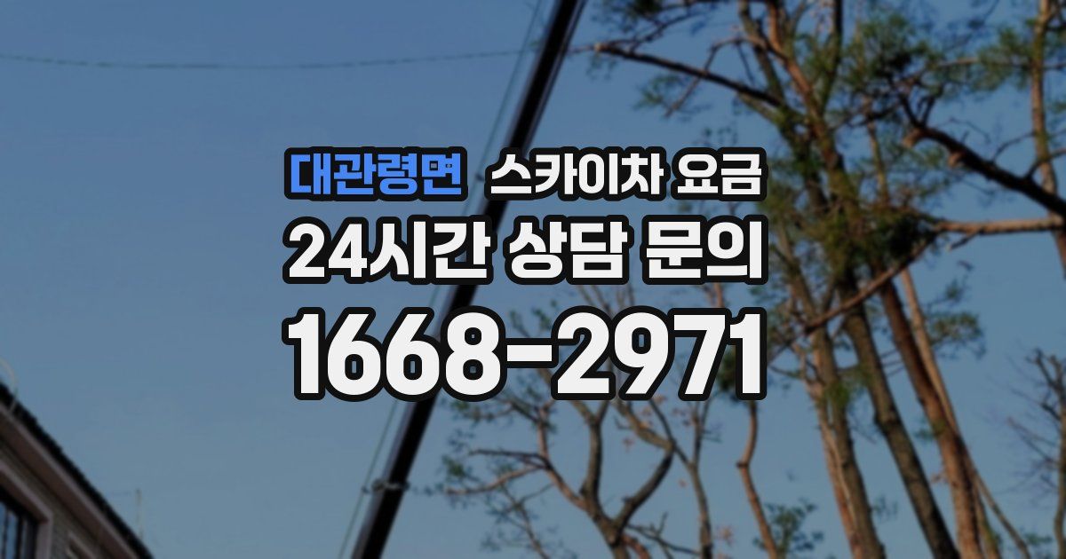 대관령면 스카이차 요금