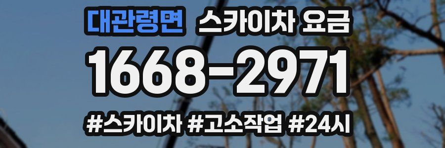 대관령면 스카이차 요금