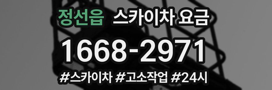 정선읍 스카이차 요금