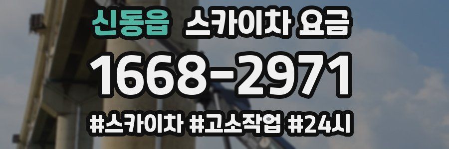 신동읍 스카이차 요금