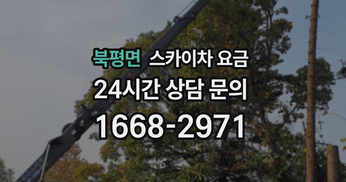 북평면 스카이차 요금