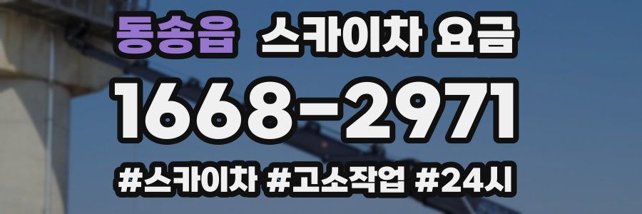 동송읍 스카이차 요금