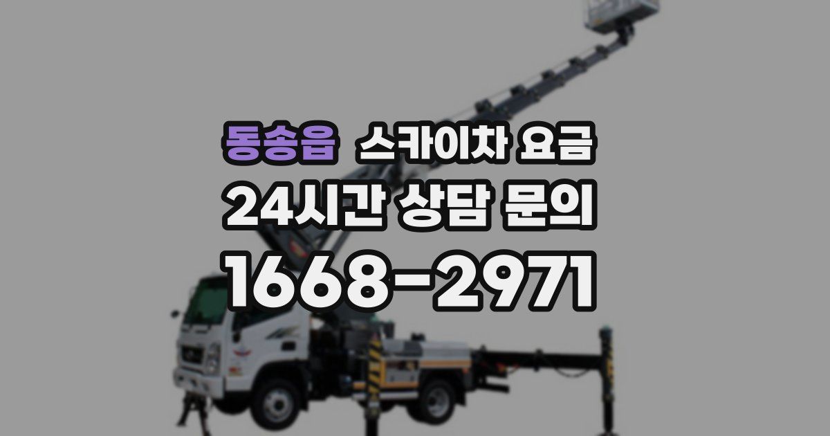 동송읍 스카이차 요금