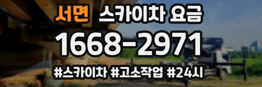 서면 스카이차 요금