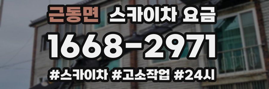 근동면 스카이차 요금