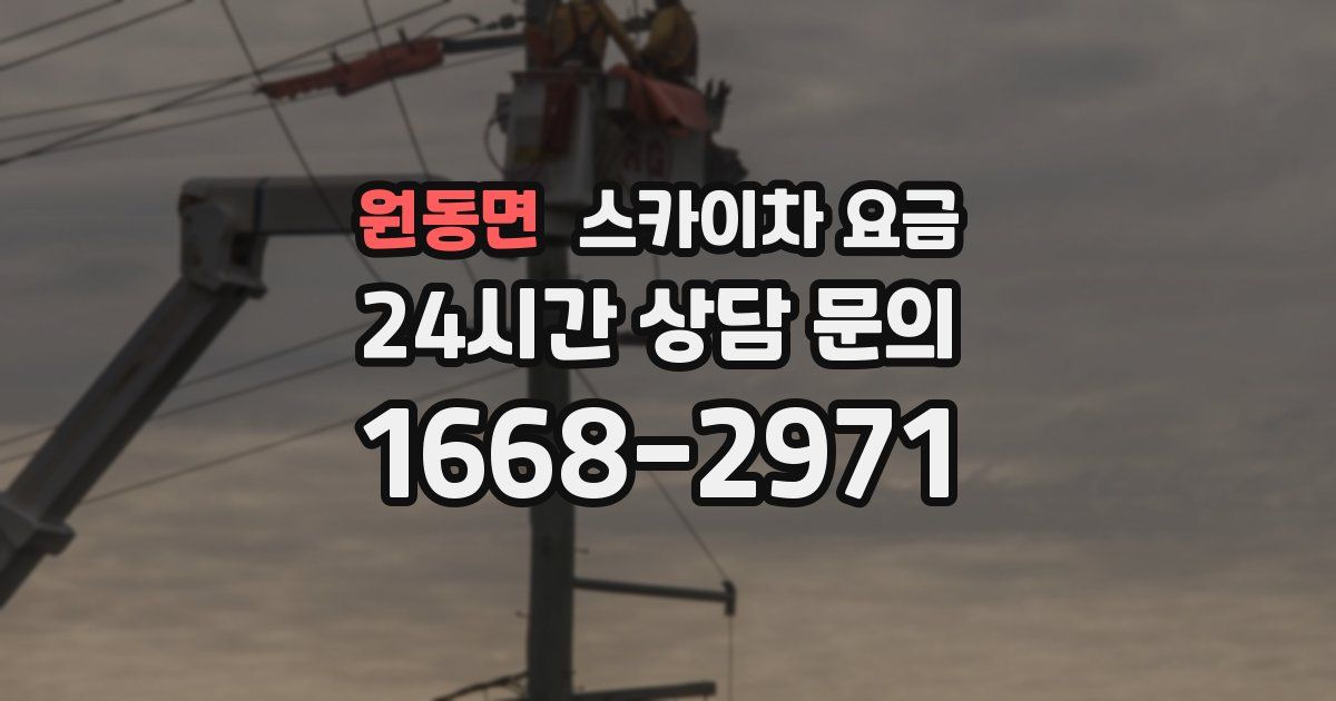원동면 스카이차 요금