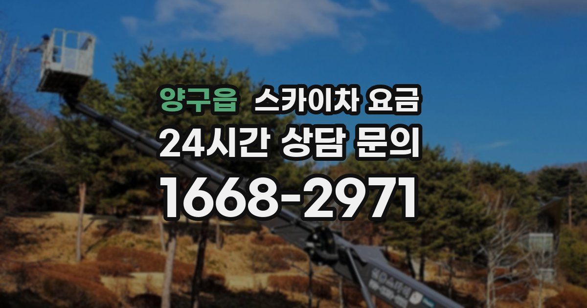 양구읍 스카이차 요금