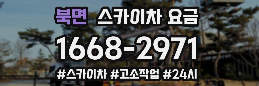 북면 스카이차 요금