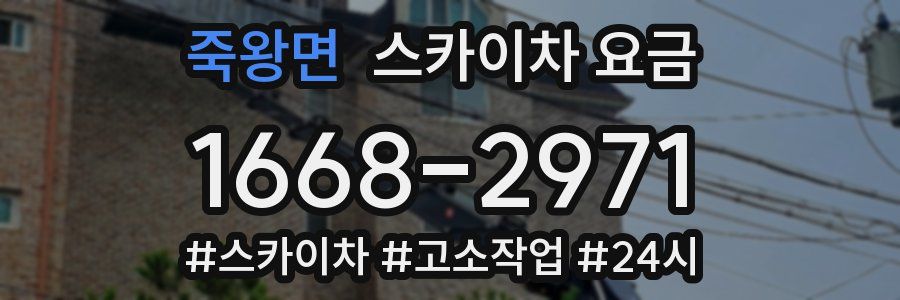 죽왕면 스카이차 요금