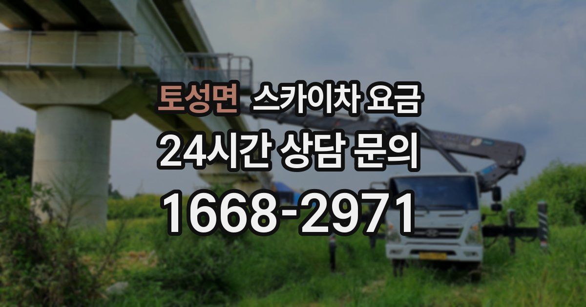 토성면 스카이차 요금