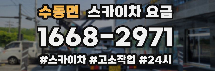 수동면 스카이차 요금