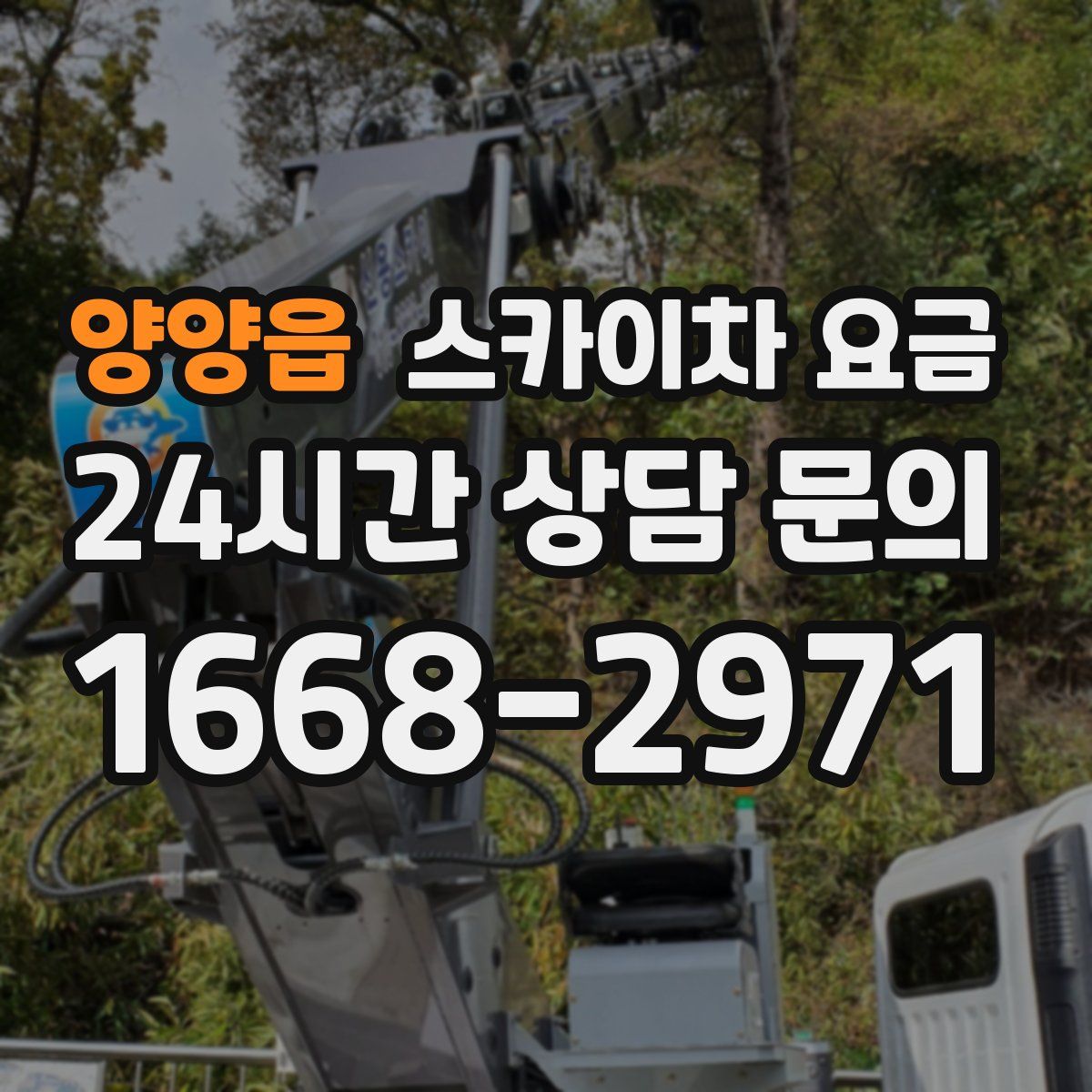 양양읍 스카이차 요금
