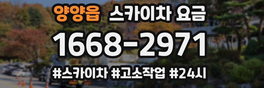 양양읍 스카이차 요금