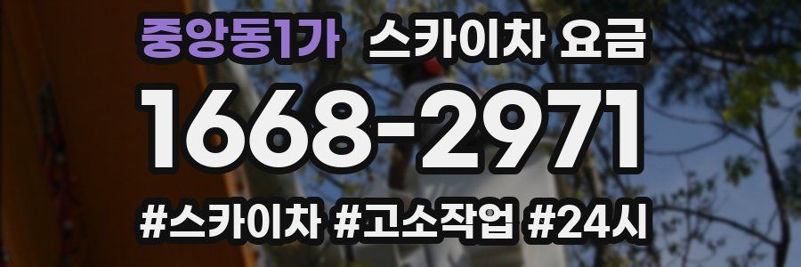 중앙동1가 스카이차 요금