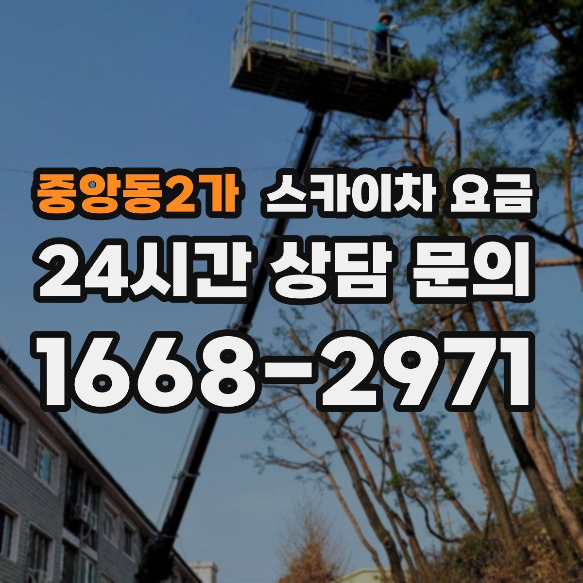 중앙동2가 스카이차 요금