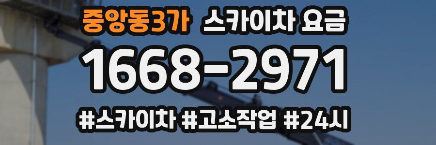 중앙동3가 스카이차 요금