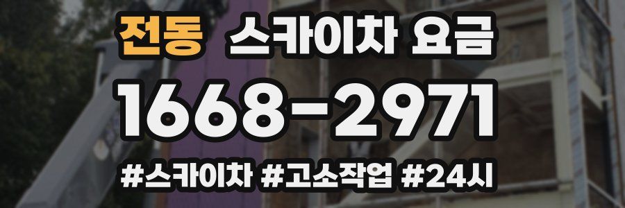 전동 스카이차 요금